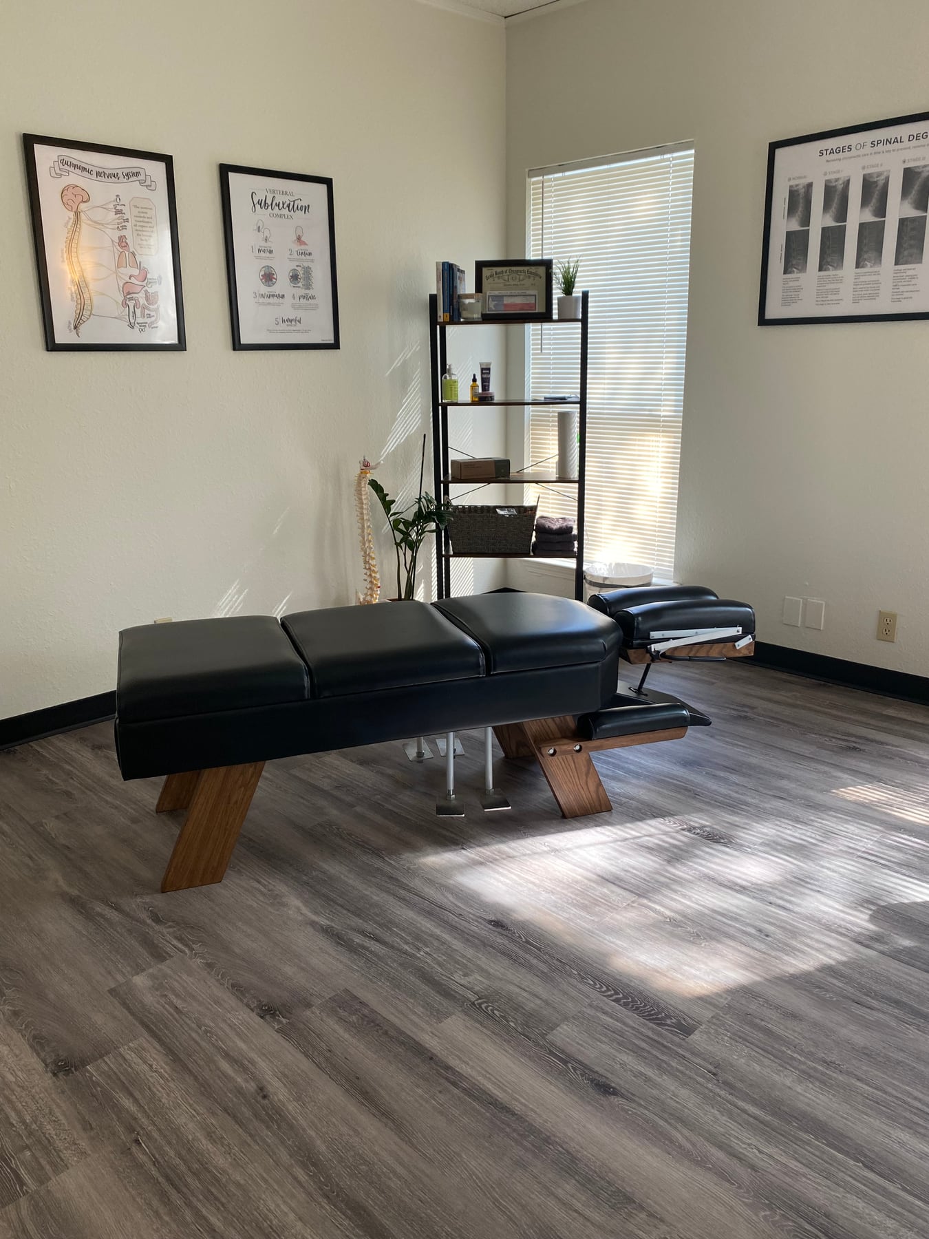 Essential Life treatment room with adjustment table and spine charts